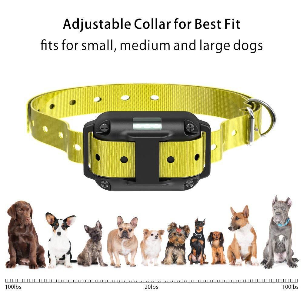 Electronic Bark Control Collar